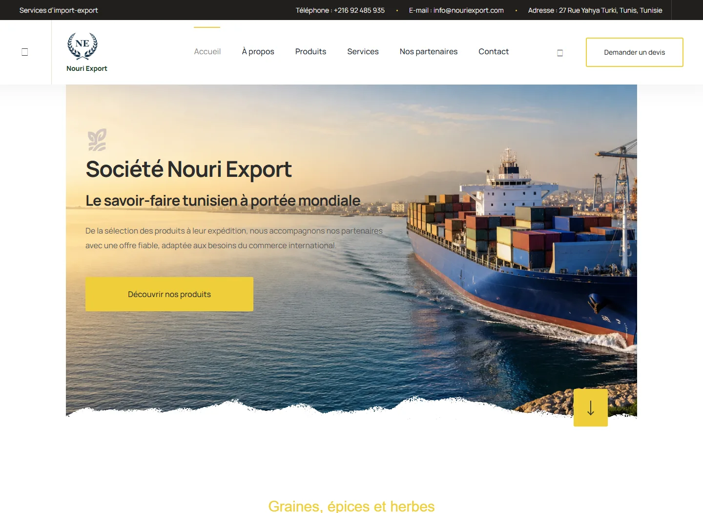 Capture du site Nouri Export