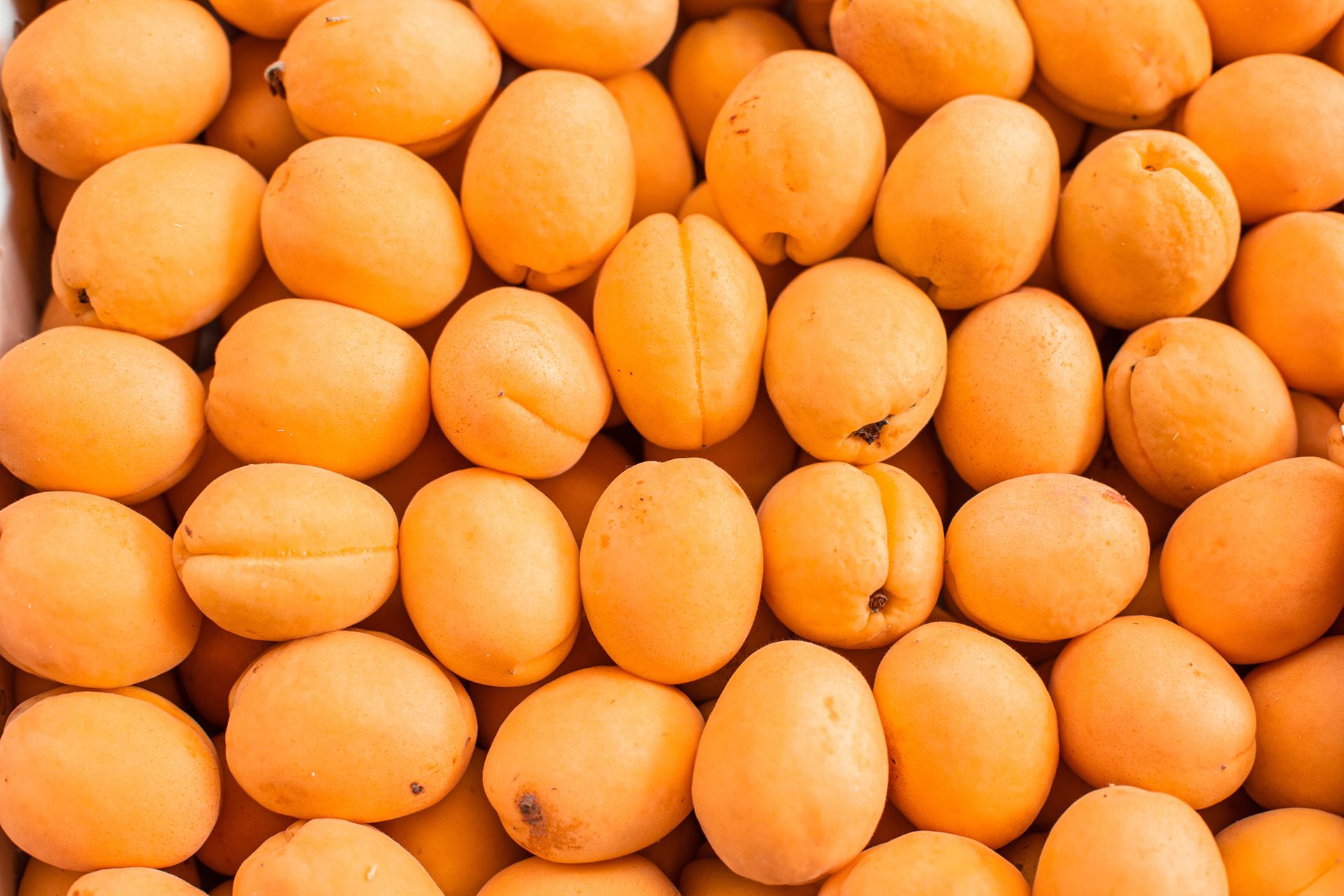 fresh-ripe-apricot-top-view-market